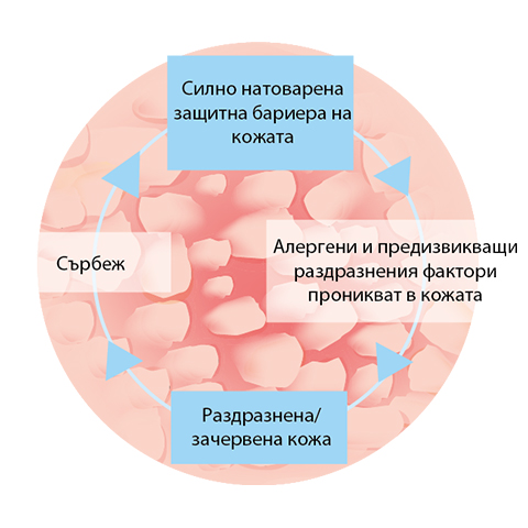 Microbiome BG