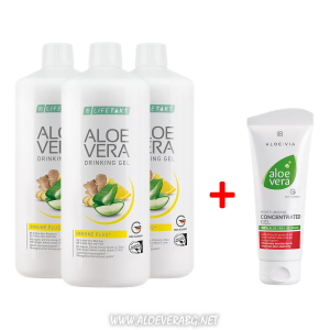 aloe vera rastenieto s nai mnogo polezni sastavki
