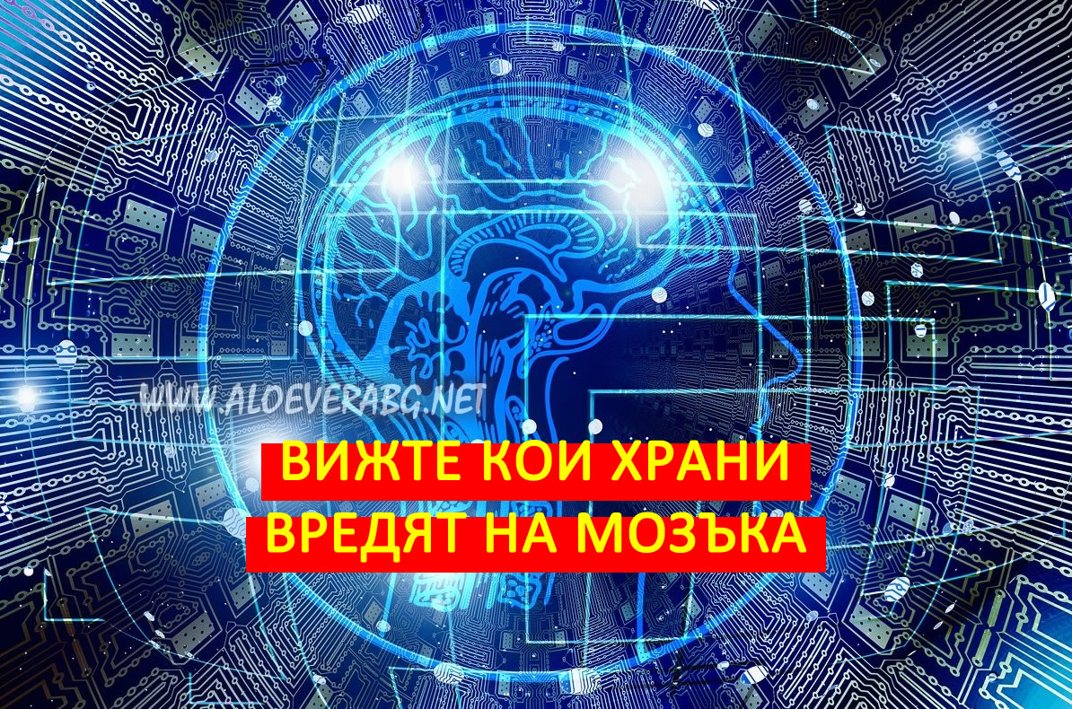 Вижте 5-те най-вредни групи храни за мозъка! Вижте 5-те най-вредни групи храни за мозъка!