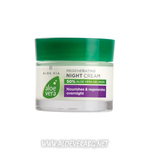 noshten krem aloe