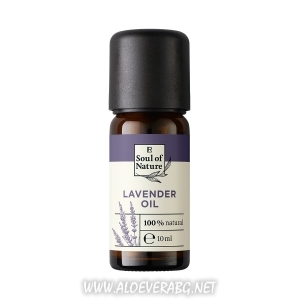 glavobolie lavandula