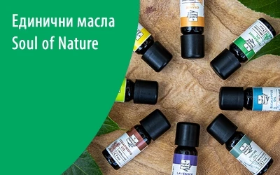 aromaterapia masla