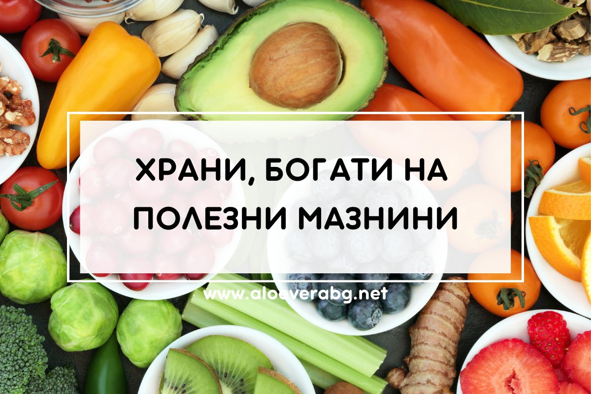 Вижте 4 Храни, Богати на Полезни за Здравето Мазнини! Вижте 4 Храни, Богати на Полезни за Здравето Мазнини!