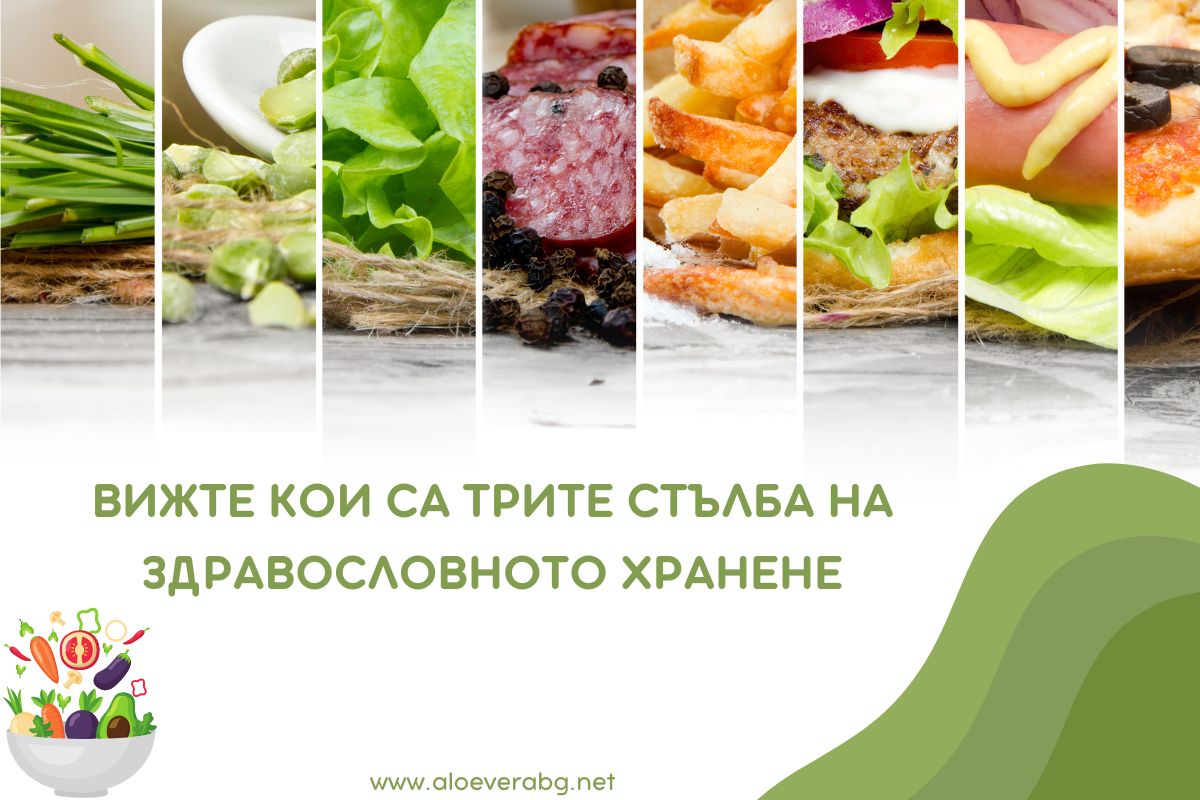 Вижте кои са Трите Стълба на Здравословното Хранене! Вижте кои са Трите Стълба на Здравословното Хранене!