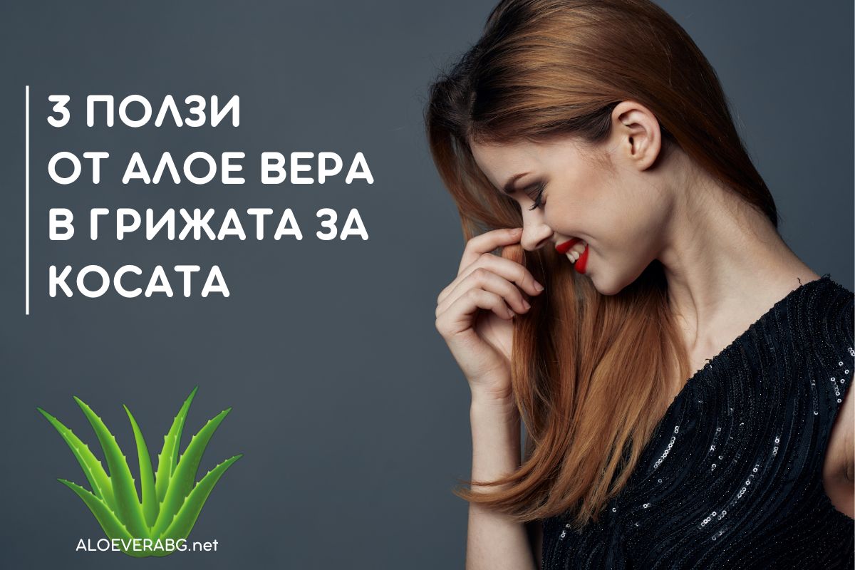 Грижа за Косата - Вижте 3 Ползи от Употребата на Алое Вера! Грижа за Косата - Вижте 3 Ползи от Употребата на Алое Вера!